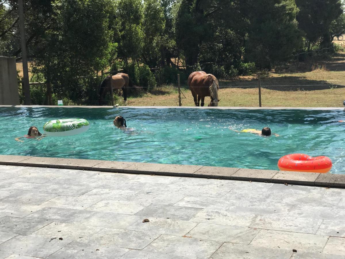 Domaine Les Castans Bed & Breakfast Saint-Thibery ภายนอก รูปภาพ